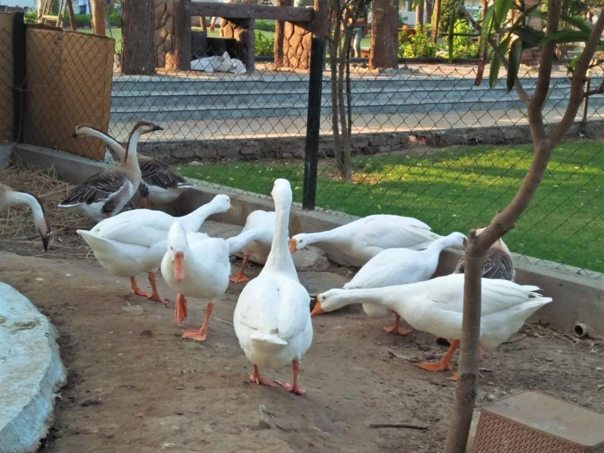 Royal Club & Resort Ahmedabad Exteriör bild